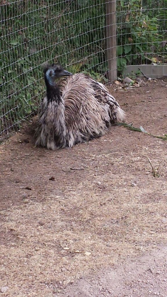 I can see the resemblance. Can you?